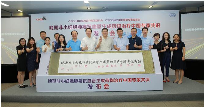 《晚期非小細(xì)胞肺癌抗血管生成藥物治療中國專家共識(2019版)》發(fā)布儀式 《晚期非小細(xì)胞肺癌抗血管生成藥物治療中國專家共識(2019版)》發(fā)布儀式