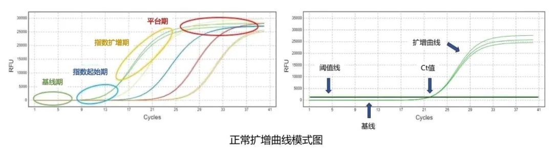 微信圖片_20220214084822.jpg 微信圖片_20220214084822.jpg