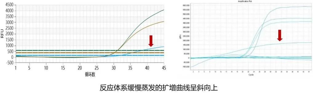微信圖片_20220214084856.jpg 微信圖片_20220214084856.jpg